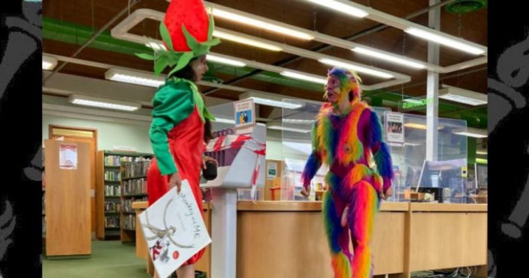 rainbow library monkey